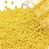 TOHO 11/0 Round Beads X-SEED-TR11-0042B-1