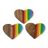 Pride Rainbow Theme Resin & Walnut Wood Pendants WOOD-K012-03-1