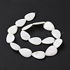 Natural Freshwater Shell Beads Strands SHEL-H001-12-3