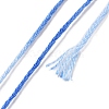 10 Skeins 6-Ply Polyester Embroidery Floss OCOR-K006-A49-3