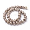 Natural Fossil Coral Beads Strands G-F563-02-10mm-2