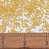 MIYUKI Delica Beads SEED-X0054-DB2102-4