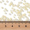 Glass Seed Beads SEED-S042-13A-02-4