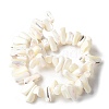 Dyed Natural Trochus Shell Beads Strands SSHEL-C013-09J-2