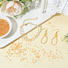 120G Glass Bugle Beads SEED-PA0001-19-4