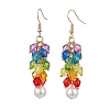 Acrylic Dangle Earrings EJEW-JE06194-1