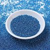 MIYUKI Round Rocailles Beads SEED-X0054-RR0291-2