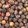 120Pcs Natural Leopard Skin Jasper Beads Strands G-PA0001-22A-1