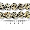 Natural Dalmatian Jasper Beads Strands G-B065-B14-5