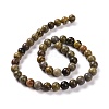 Natural Dendritic Jasper Beads Strands G-H1632-8MM-2