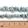 Natural Larimar Beads Strands G-D109-B03-4