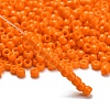 TOHO 6/0 Round Beads X-SEED-TR06-0042D-2