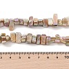 Natural Freshwater Shell Beads Strands BSHE-H018-07A-4
