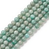 Natural Amazonite Beads Strands G-K068-03-8mm-01-1