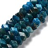 Natural Apatite Beads Strands G-D091-A09-1