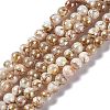 Drawbench Style Natural Freshwater Shell Beads Strands X-SHEL-F003-10B-1