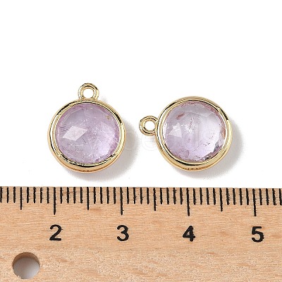 Natural Amethyst Faceted Flat Round Charms G-U028-03G-09-1