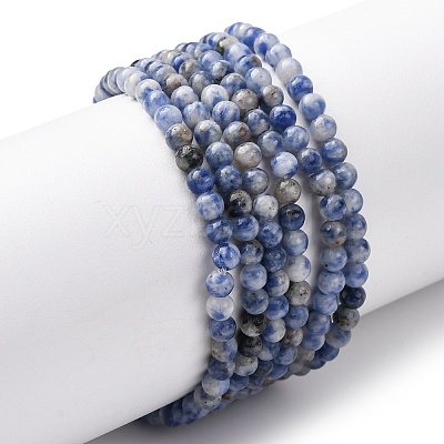 Natural Blue Spot Jasper Beads Strands G-Z116-A02-3mm-1