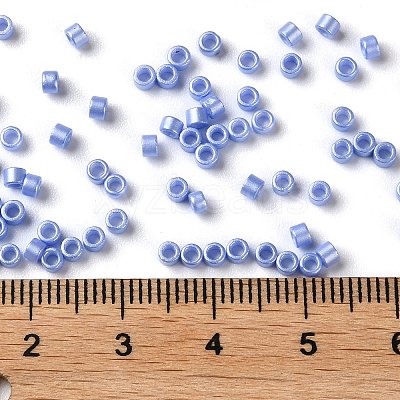 Baking Paint Glass Seed Beads X-SEED-S042-15A-12-1