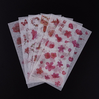 Natural Theme Stickers DIY-L038-A05-1