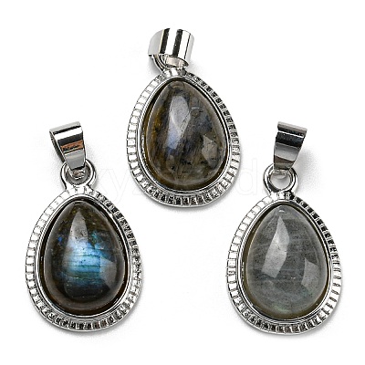 Natural Labradorite Pendants G-M405-05P-1
