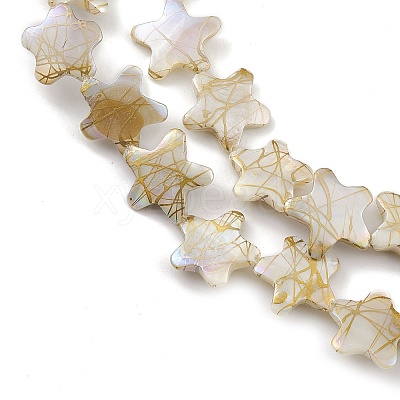 Drawbench Style Natural Freshwater Shell Beads Strands BSHE-E028-04-1