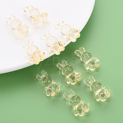 Transparent Acrylic Beads MACR-S373-81-B04-1
