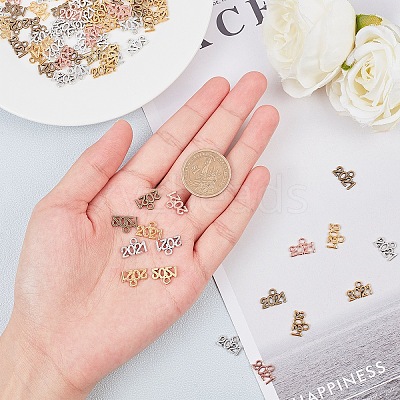 Alloy Charms PALLOY-NB0001-70-1