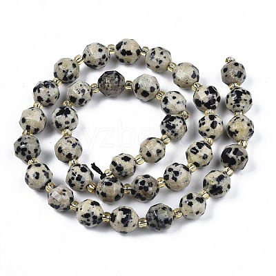 Natural Dalmatian Jasper Beads Strands X-G-N326-100-02-1