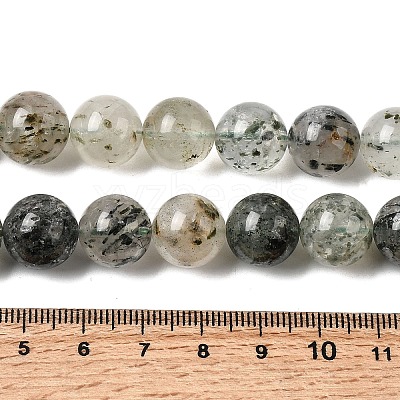 Natural Fuchsite Beads Strands G-K285-40D-1-1