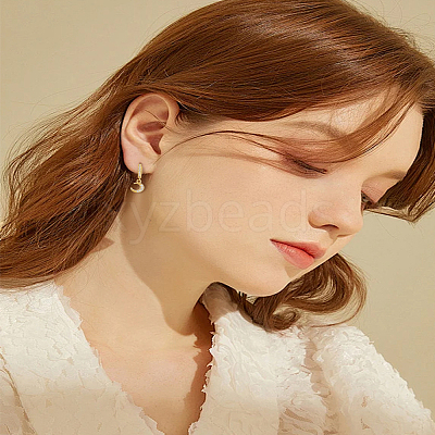 1 Pair Brass Micro Pave Clear Cubic Zirconia Hoop Earrings EJEW-LP0007-115-1