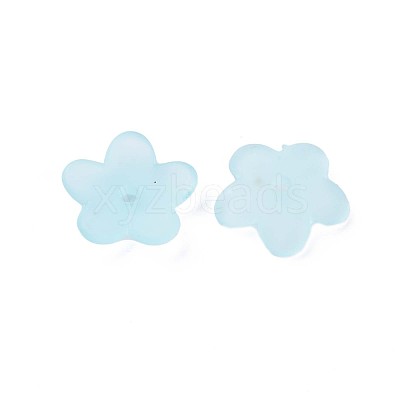Transparent Acrylic Beads MACR-S373-118-D07-1