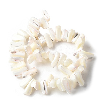 Dyed Natural Trochus Shell Beads Strands SSHEL-C013-09J-1