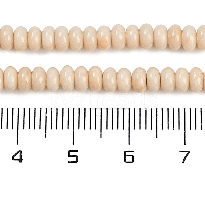 Natural Fossil Beads Strands G-K343-C24-01-1