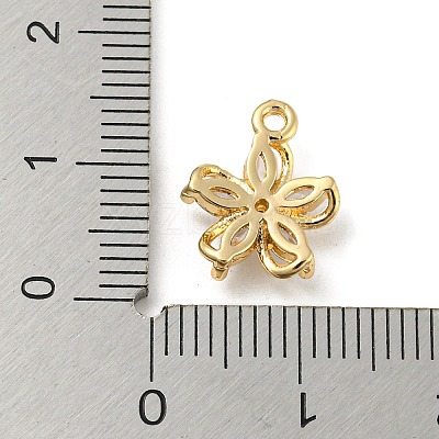 Brass with Clear Cubic Zirconia Charms LS-KK-G478-02C-KCG-1