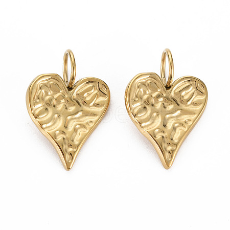 304 Stainless Steel Pendants STAS-N097-118LG-NR-1