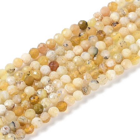 Natural Yellow Opal Beads Strands G-G139-A04-02-1