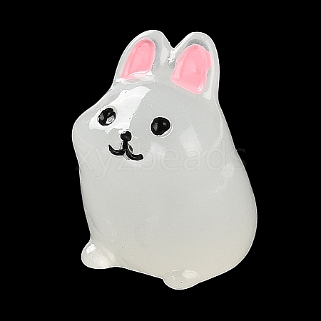 Rabbit Luminous Resin Display Decorations DJEW-F023-B05-1