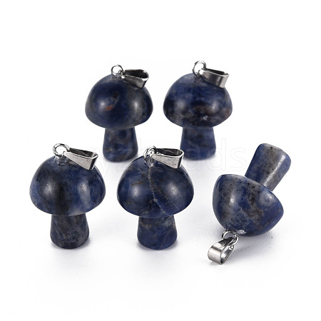 Natural Sodalite Pendants G-N0325-10K-1