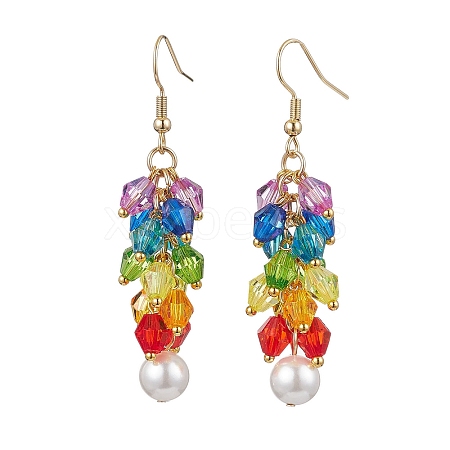 Acrylic Dangle Earrings EJEW-JE06194-1