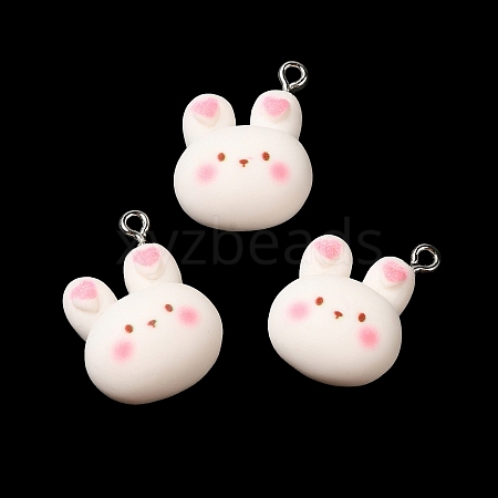 Cartoon Opaque Resin Pendants RESI-R440-02-1