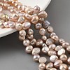 Natural Cultured Freshwater Pearl Beads Strands PEAR-A006-19A-2