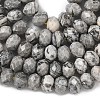 Natural Map Stone/Picasso Stone/Picasso Jasper Bead Strands G-D344-A18-5