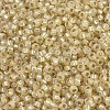 MIYUKI Round Rocailles Beads X-SEED-G007-RR0578-3