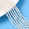 1 Strand Natural Cultured Freshwater Pearl Beads Strands PEAR-PA0001-14-3