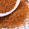 MIYUKI Delica Beads X-SEED-J020-DB0681-1