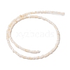 Natural Freshwater Shell Beads Strands SHEL-P017-01B-02-2