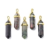 Natural Bloodstone Pointed Pendants G-G025-01G-31-1