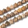 Natural Picture Jasper Beads Strands G-I378-A01-2