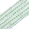 Natural Prehnite Beads Strands G-E530-14E-1